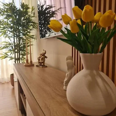 Apartment Viki's *