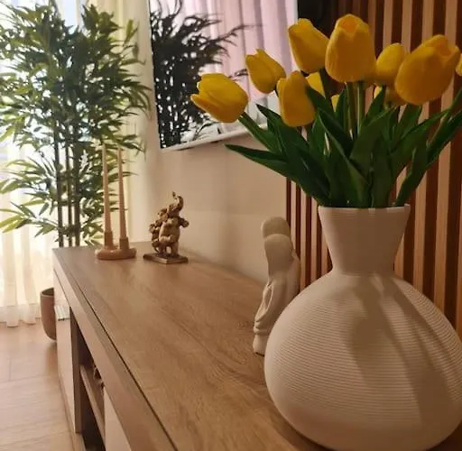 Appartement Viki's *